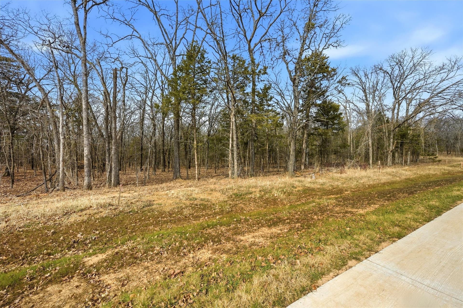 1.3 acres in Grayson County gallery image 4