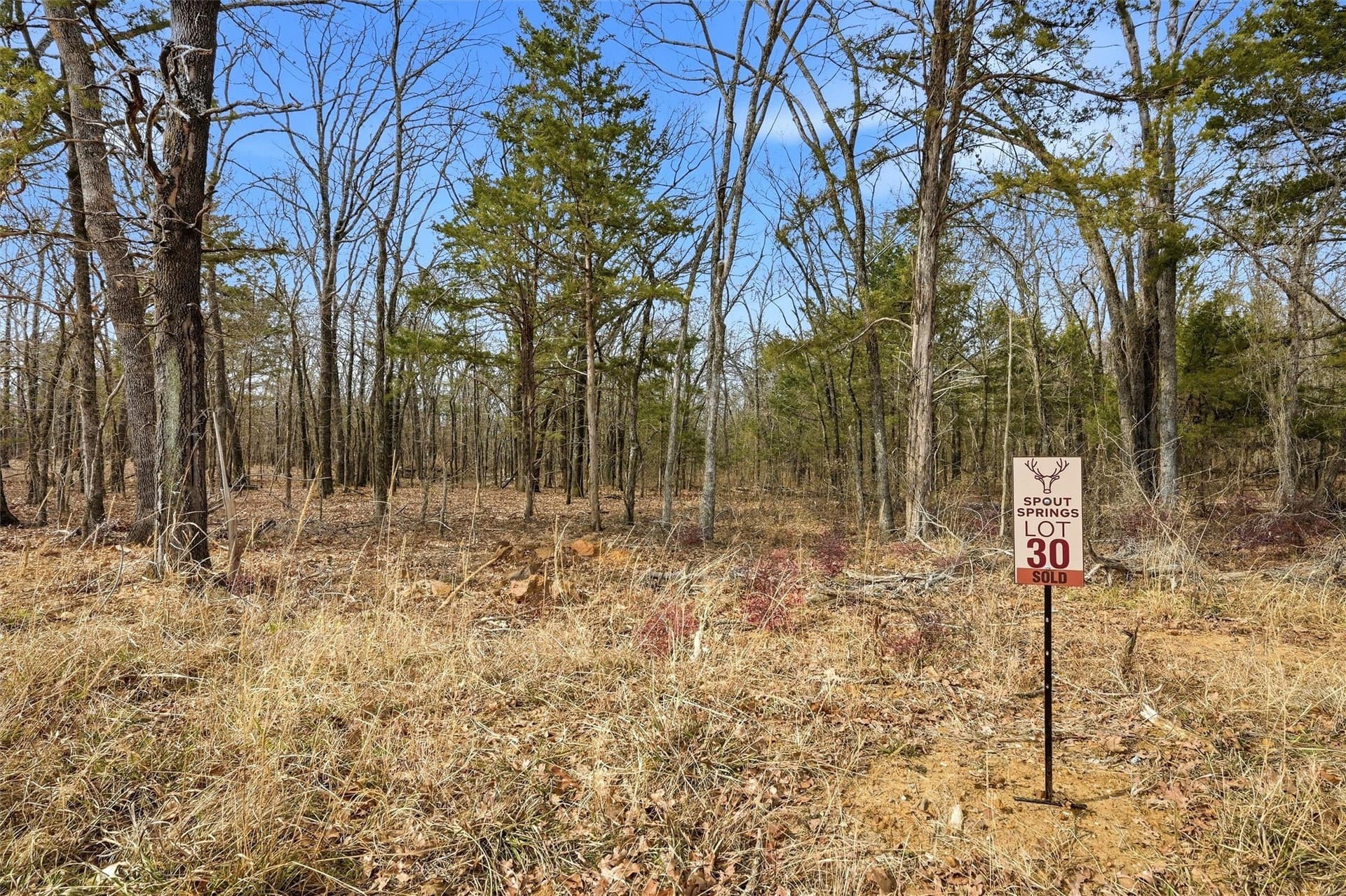 1.3 acres in Grayson County gallery image 3