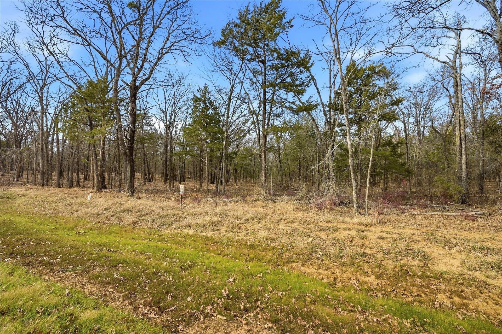 1.3 acres in Grayson County gallery image 2