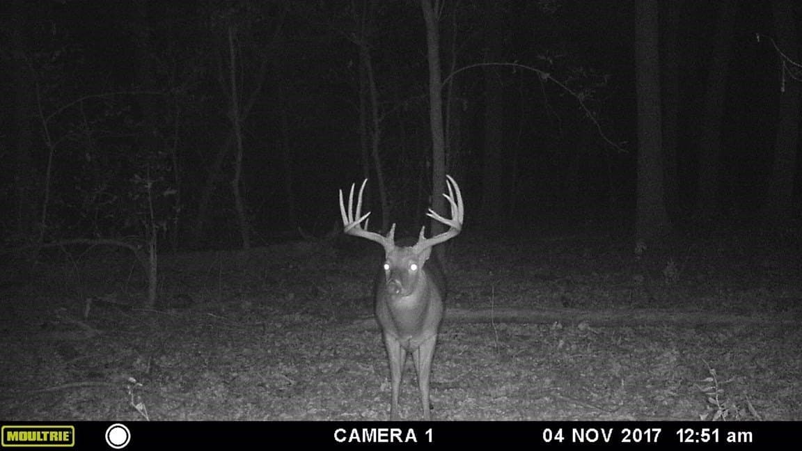 69 acres in Grayson County - photo 40