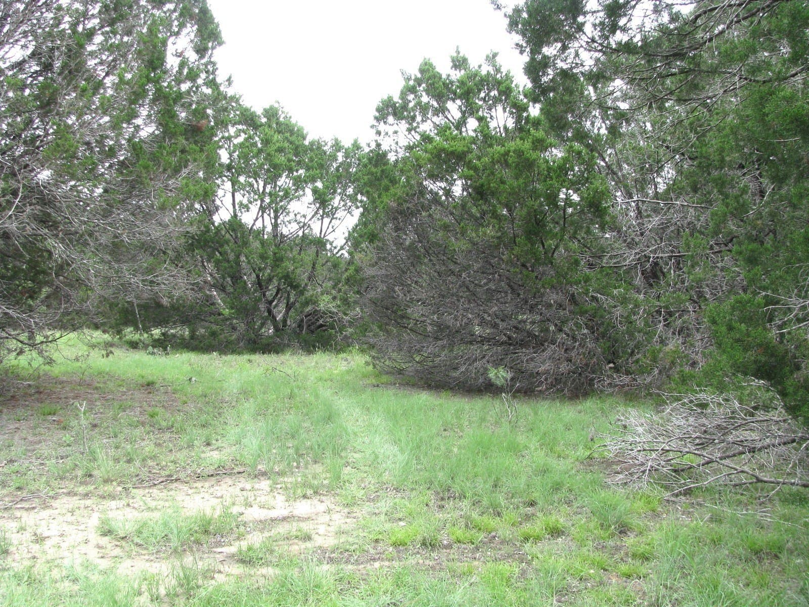 10.01 acres in Hamilton County gallery image 4