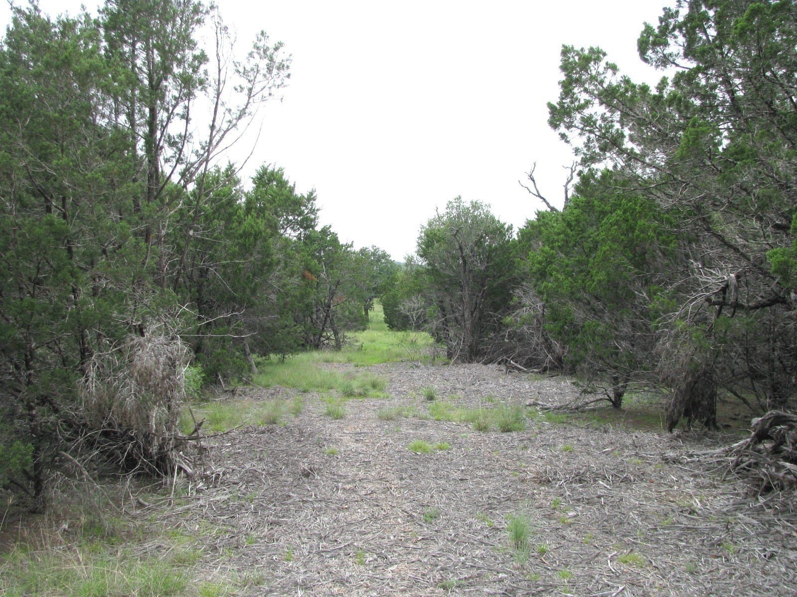 10.01 acres in Hamilton County - photo 11