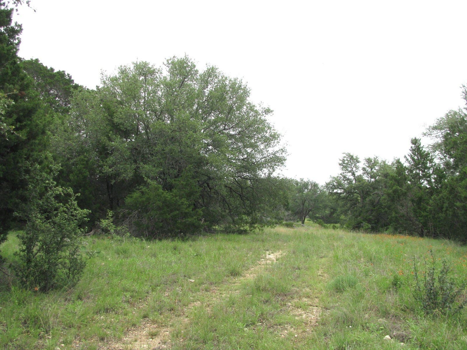 10.01 acres in Hamilton County gallery image 2