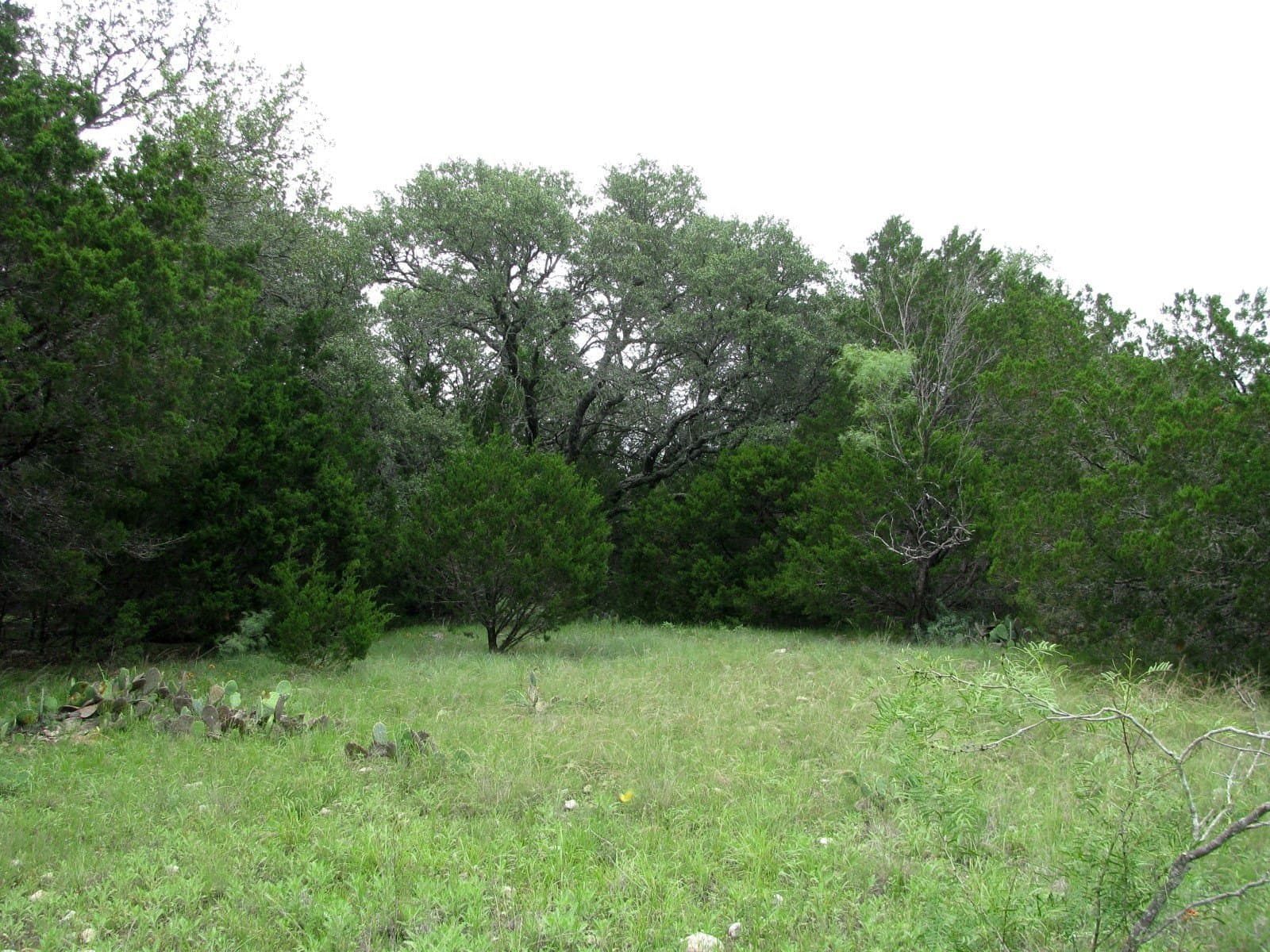 10.01 acres in Hamilton County - photo 17