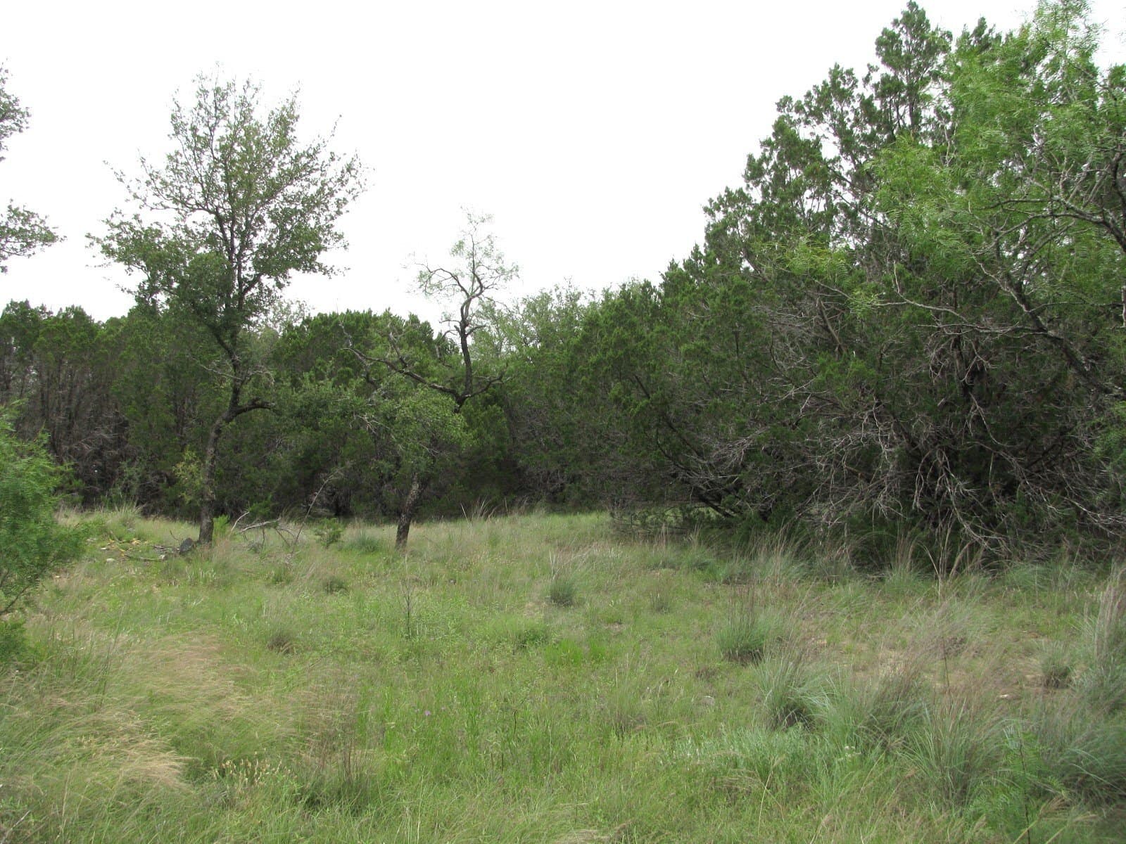 10.01 acres in Hamilton County - photo 12