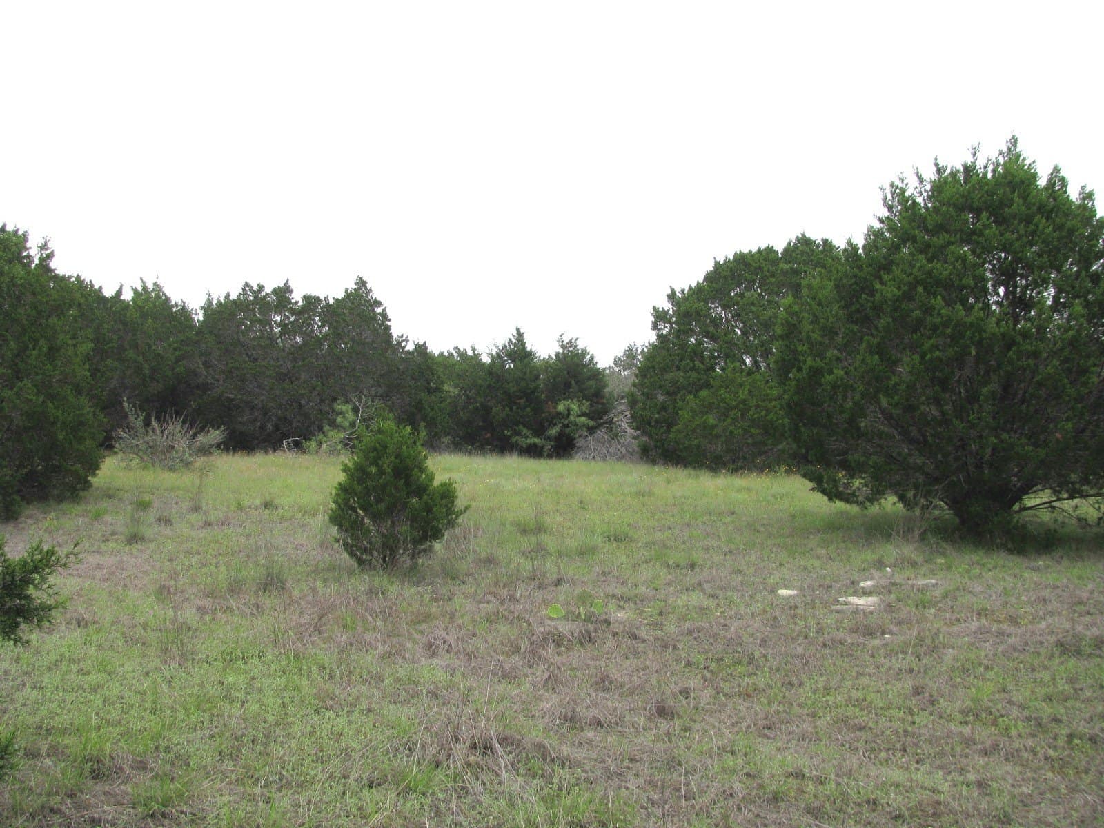 10.01 acres in Hamilton County - photo 14