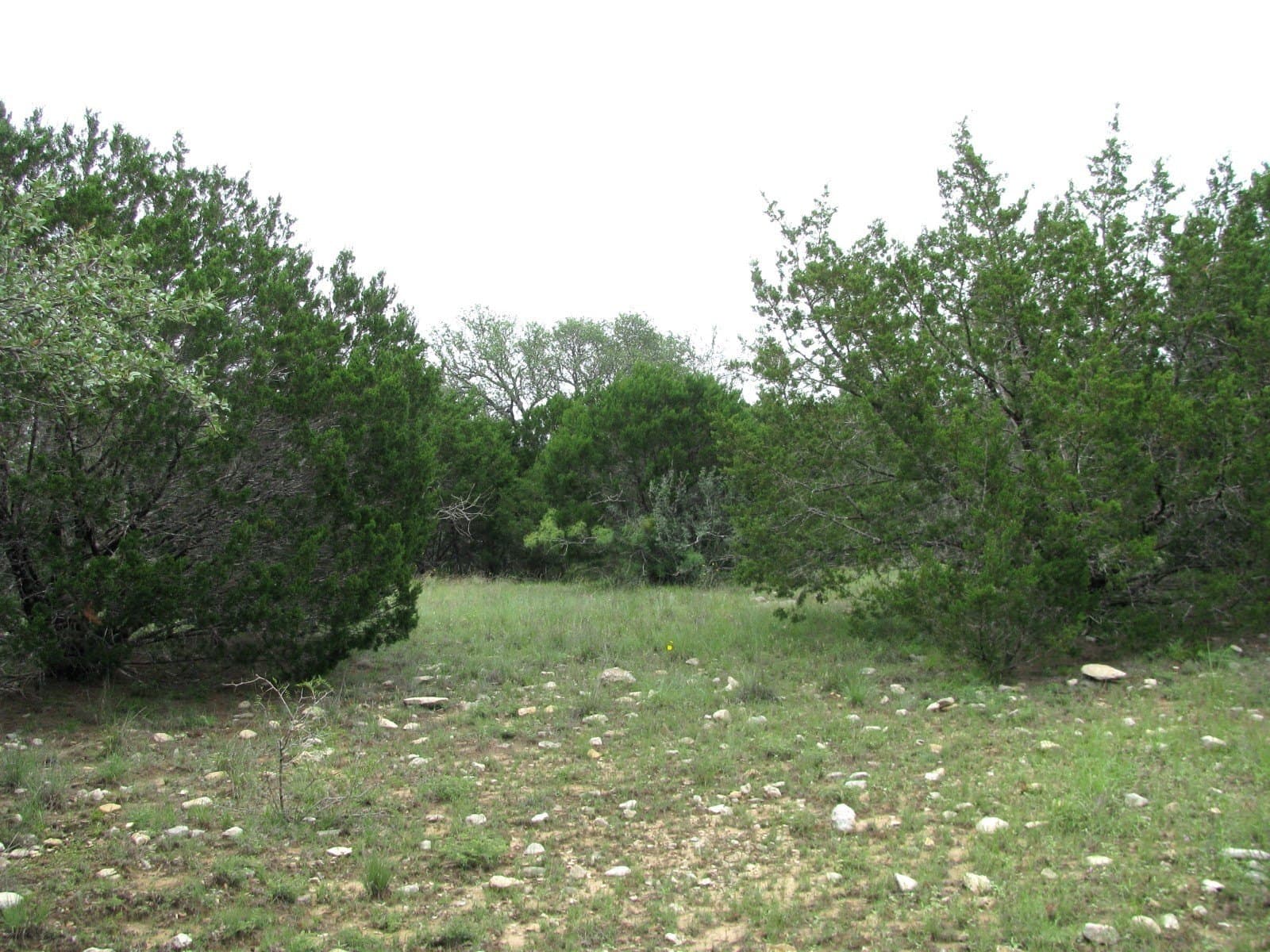 10.01 acres in Hamilton County - photo 15