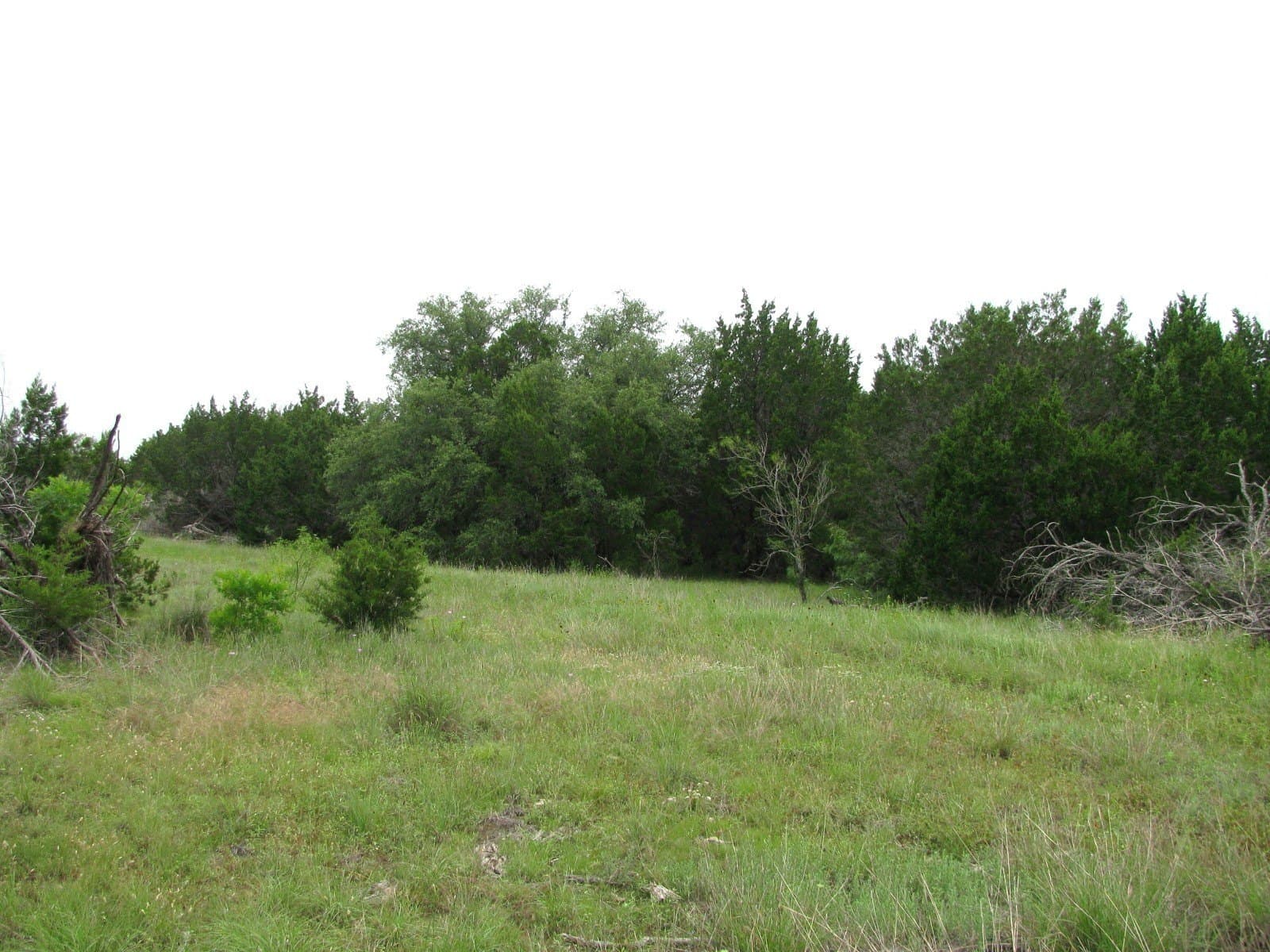 10.01 acres in Hamilton County - photo 13