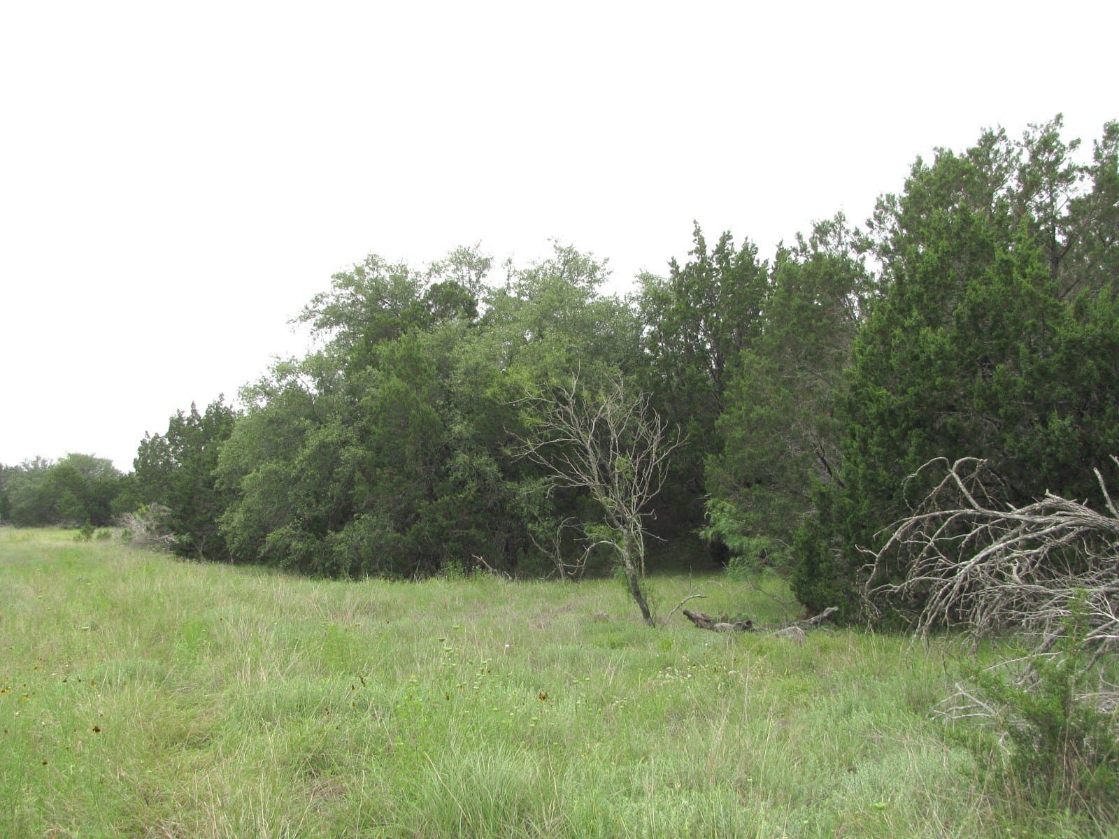10.01 acres in Hamilton County - photo 19
