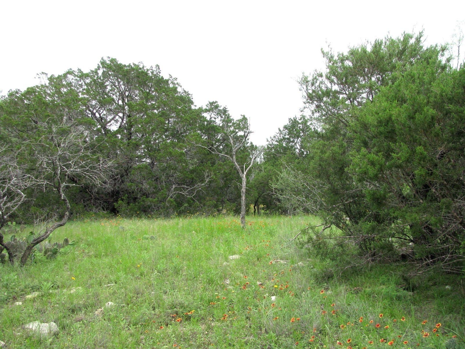 10.01 acres in Hamilton County - photo 16