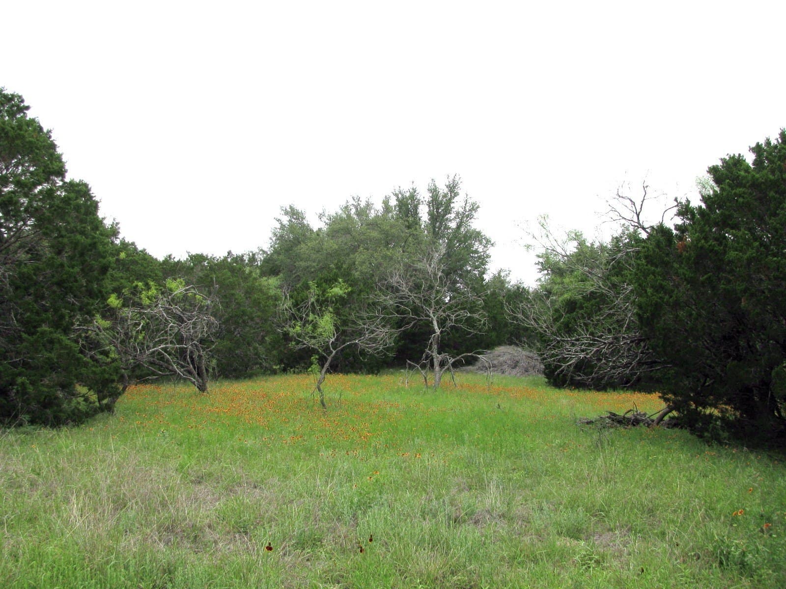 10.01 acres in Hamilton County - photo 18