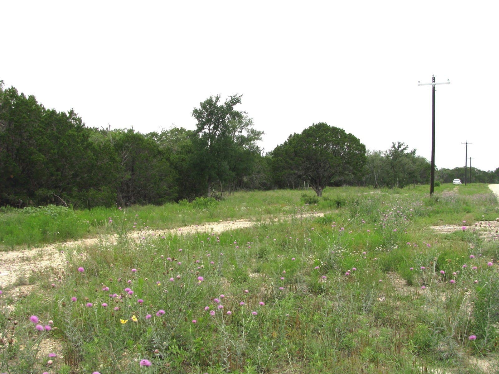 10.01 acres in Hamilton County featured view