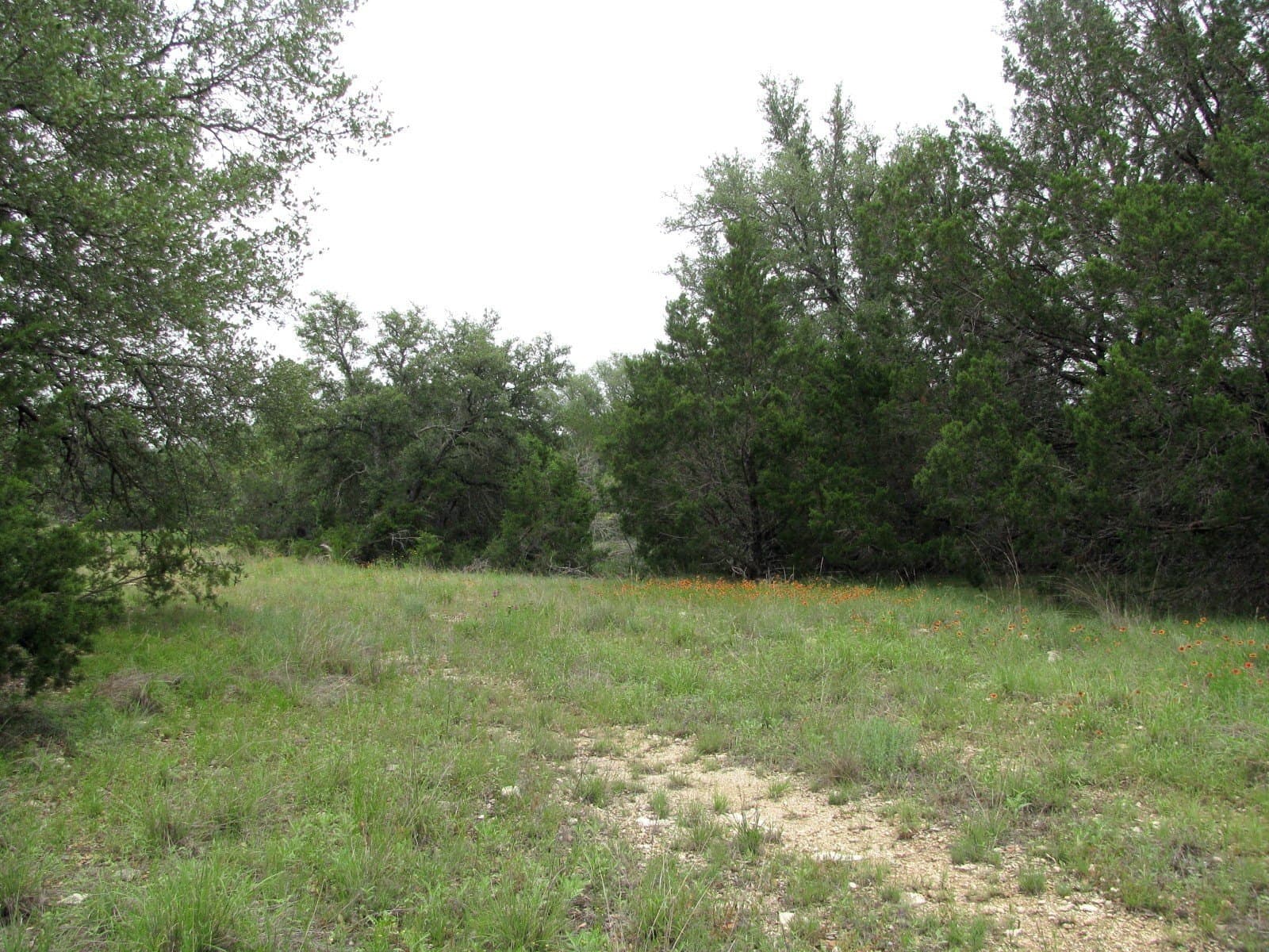 10.01 acres in Hamilton County gallery image 3