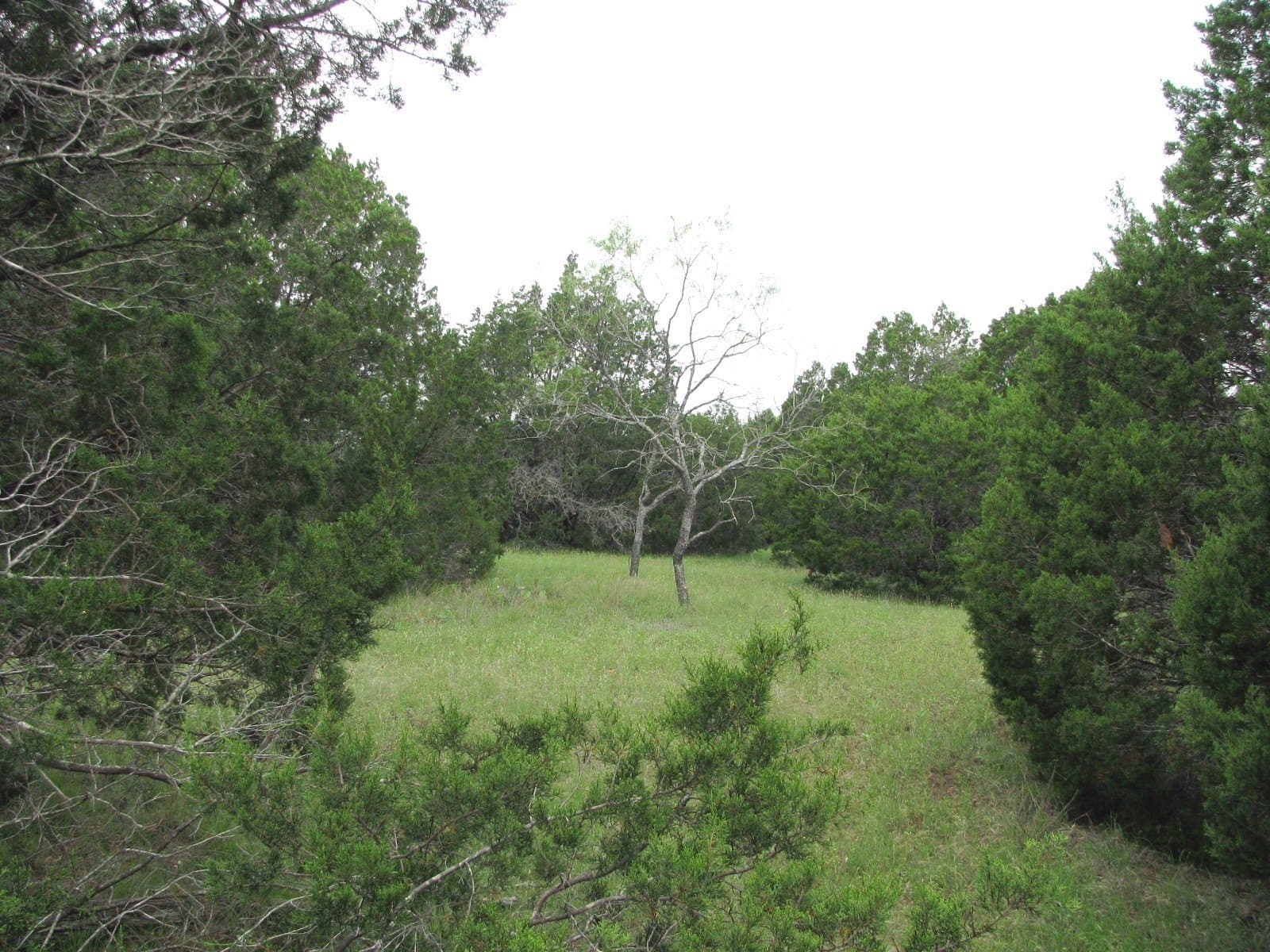 10.01 acres in Hamilton County - photo 6