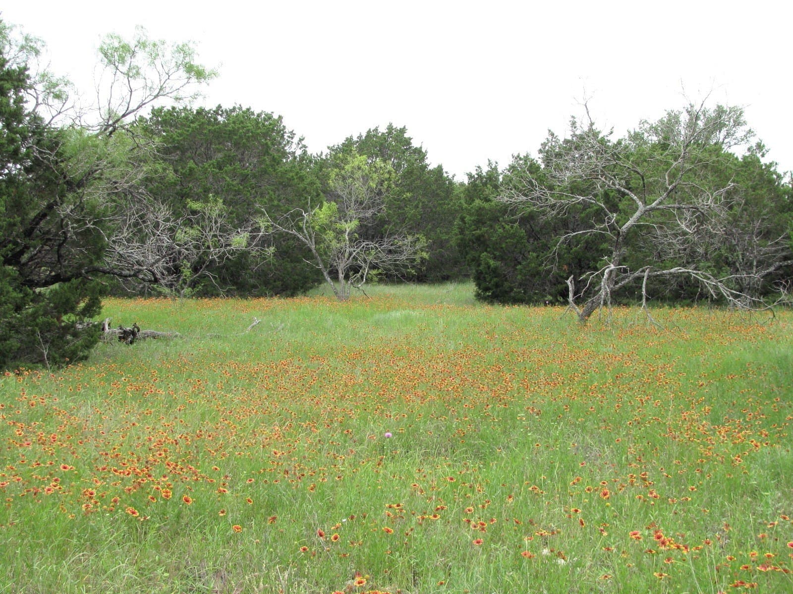 10.01 acres in Hamilton County