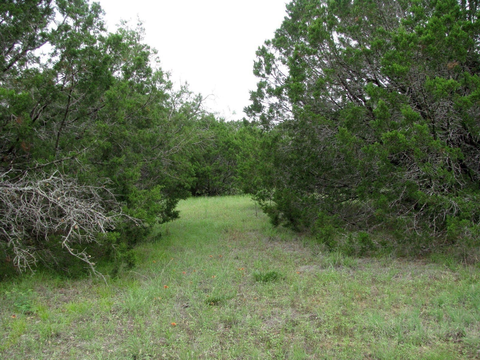 10.01 acres in Hamilton County - photo 7