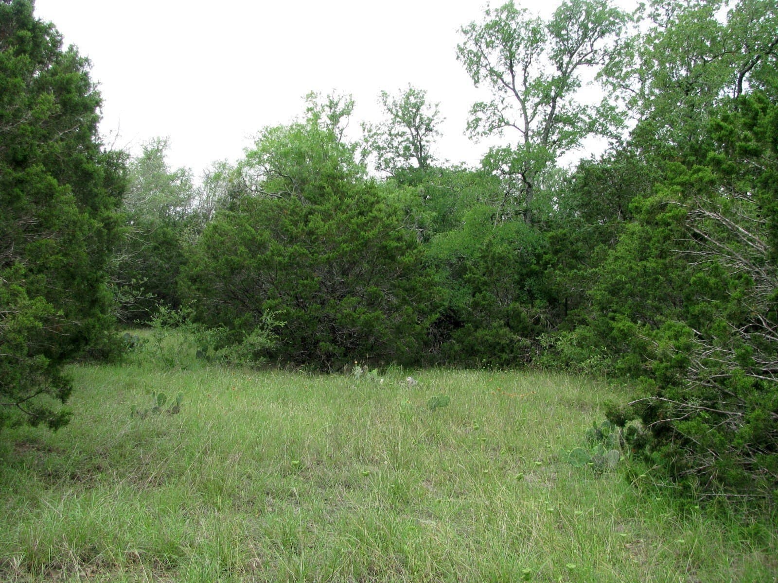 10.01 acres in Hamilton County - photo 21