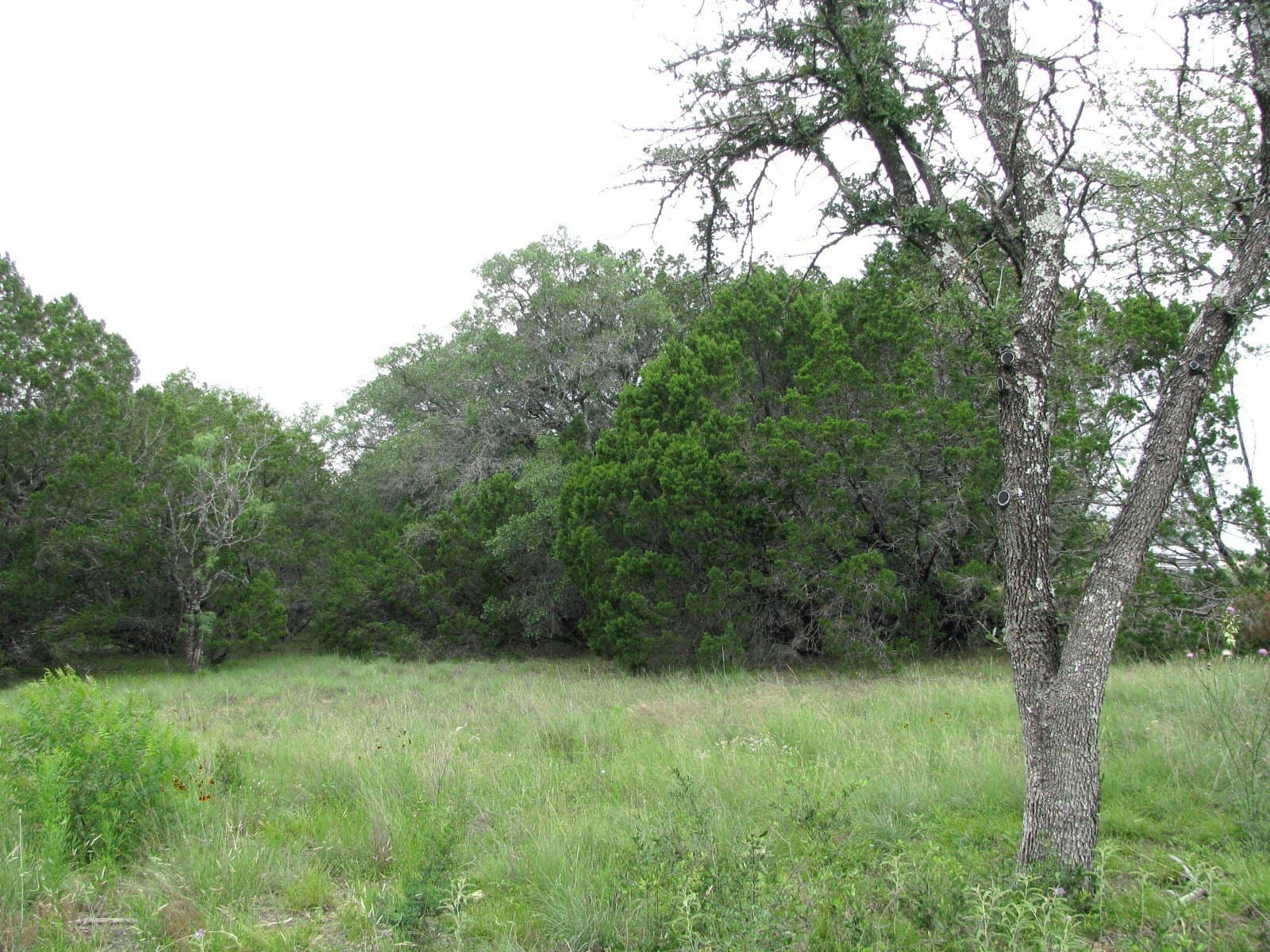 10.01 acres in Hamilton County - photo 10