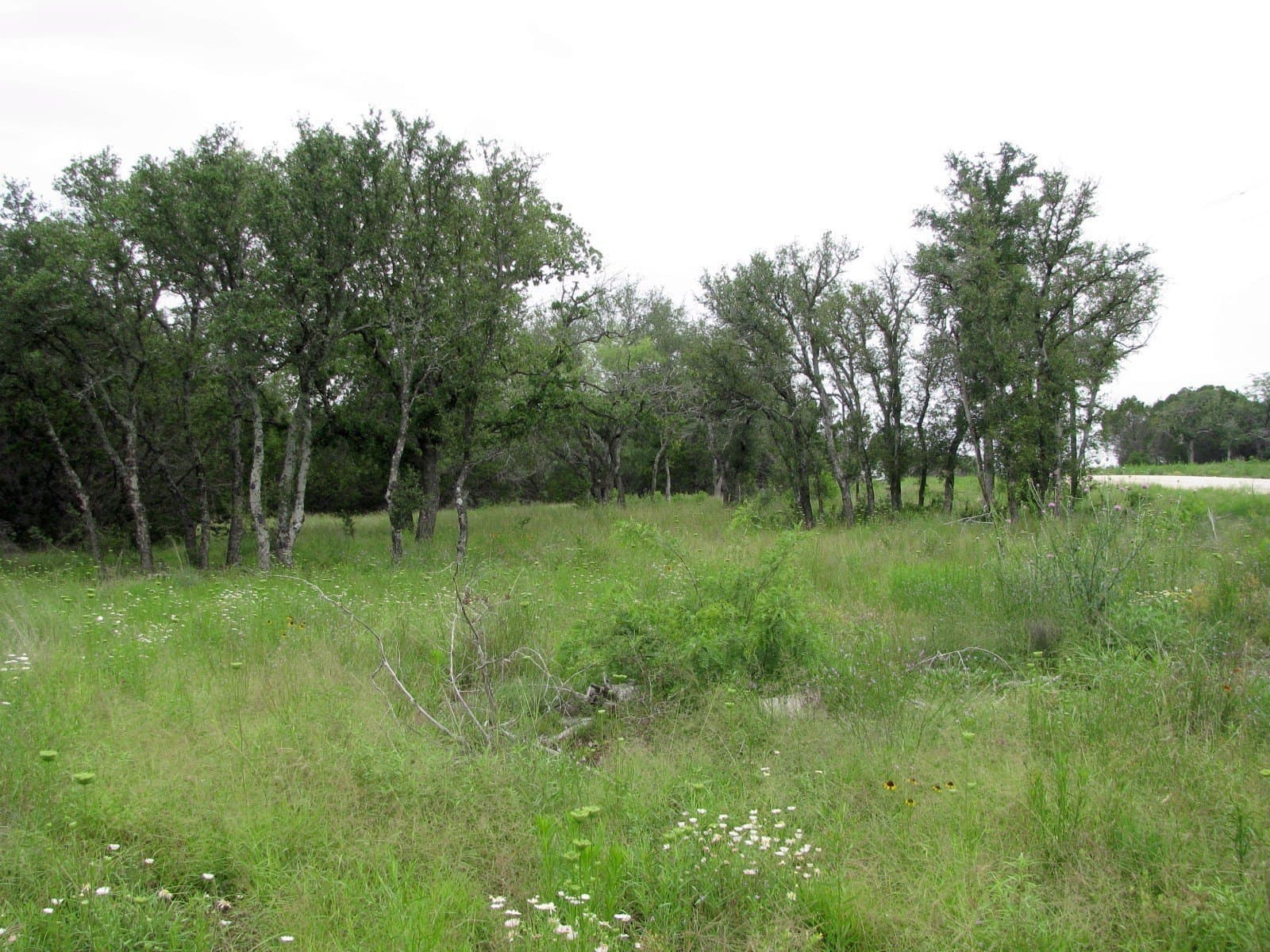 10.01 acres in Hamilton County - photo 9