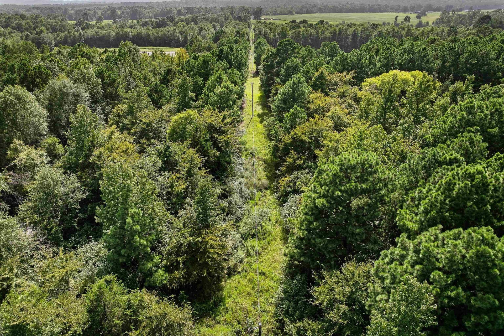 44 acres in Texas County - photo 9