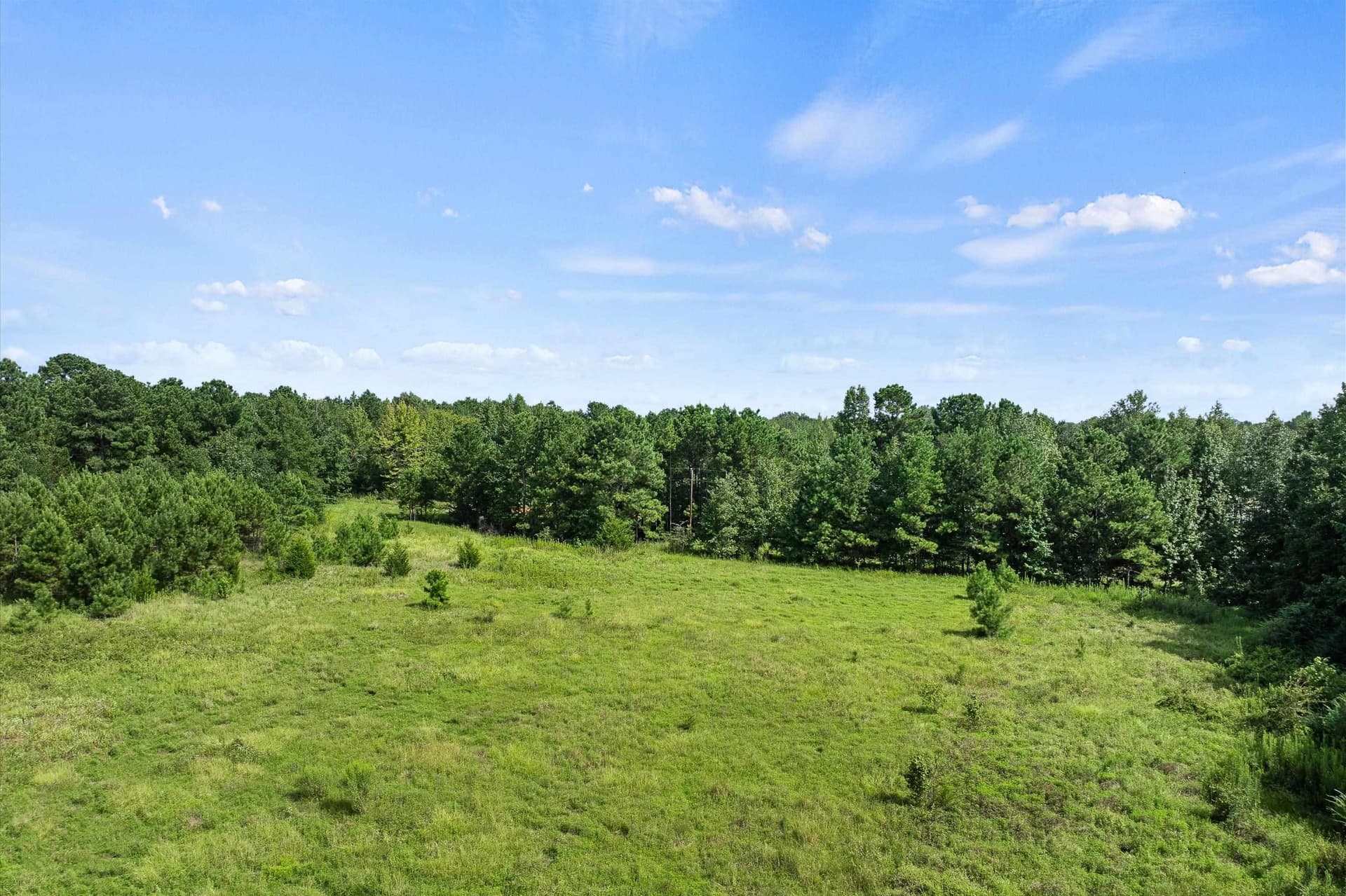 44 acres in Texas County gallery image 2