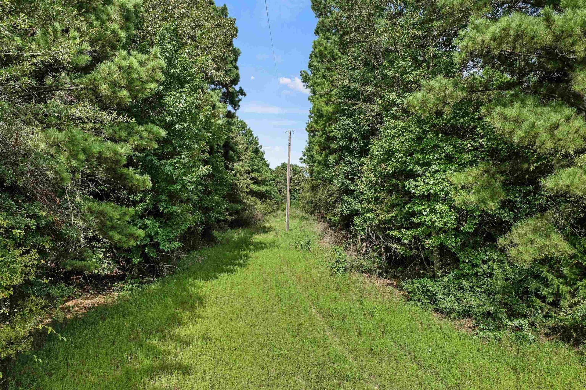 44 acres in Texas County - photo 10