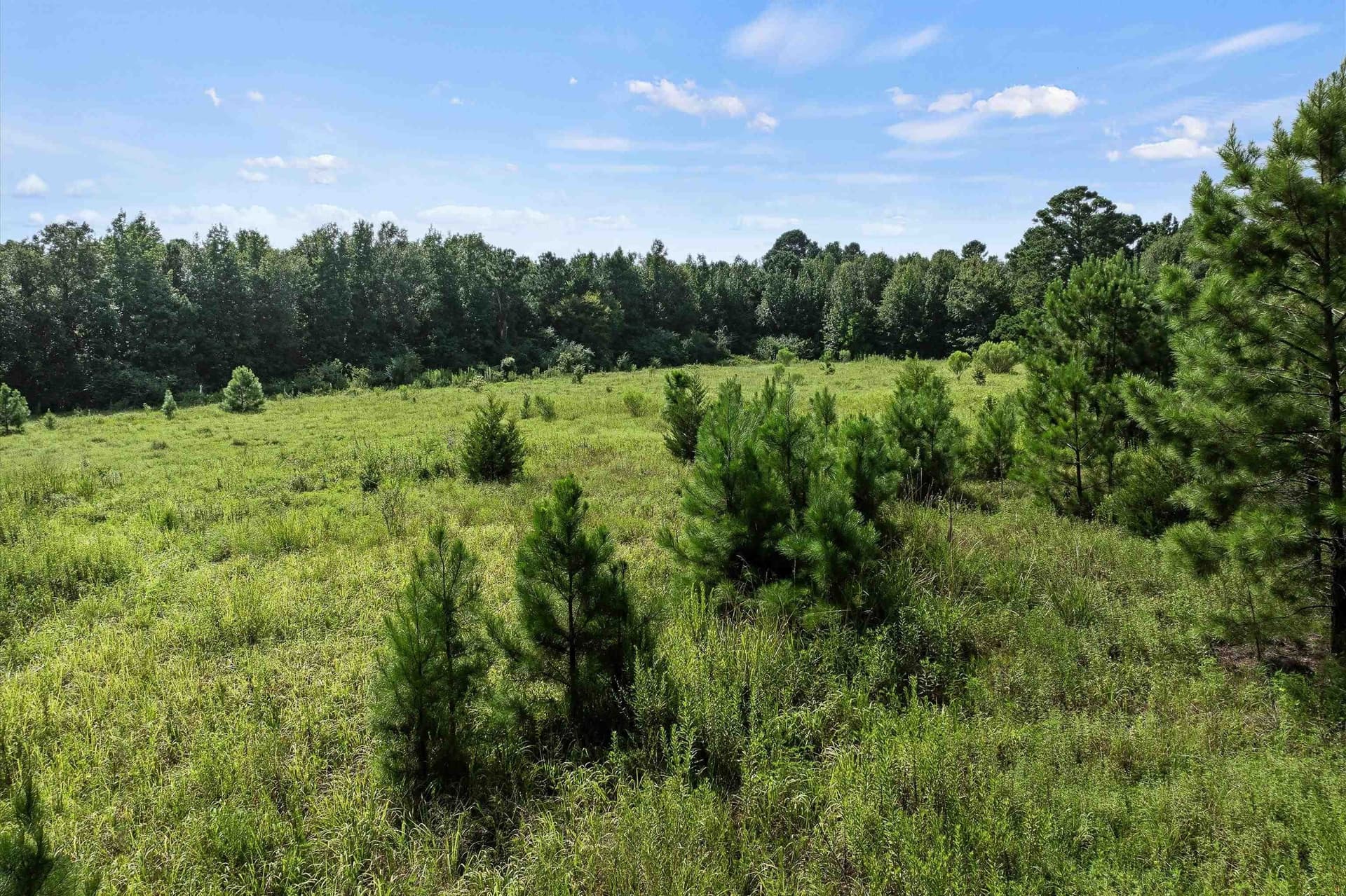 44 acres in Texas County - photo 11