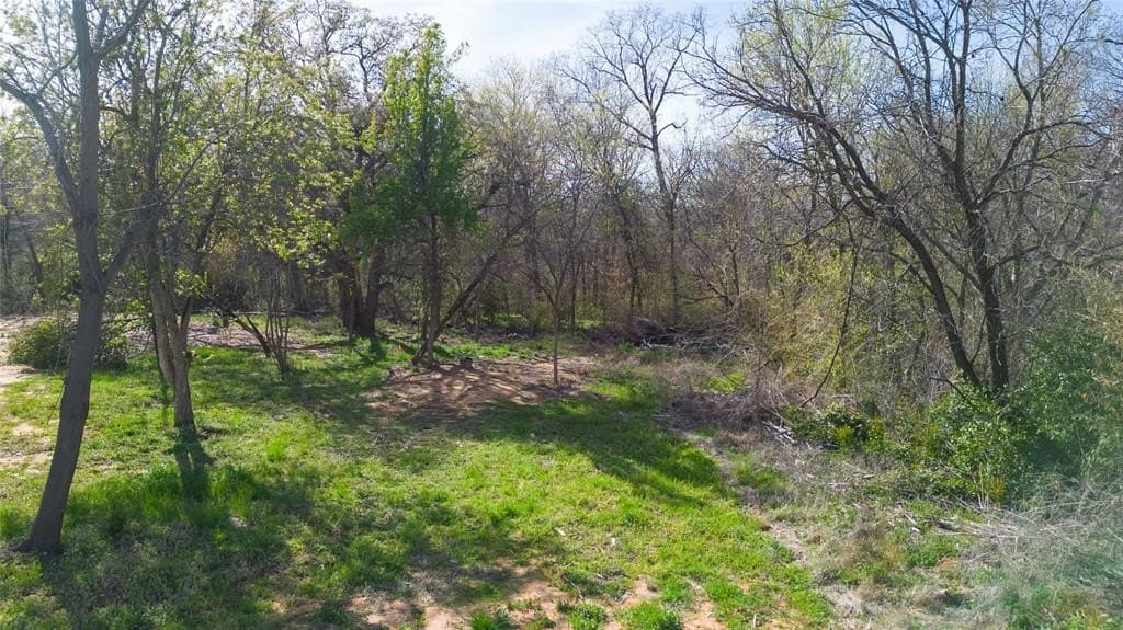 0.23 acres in Grayson County gallery image 3