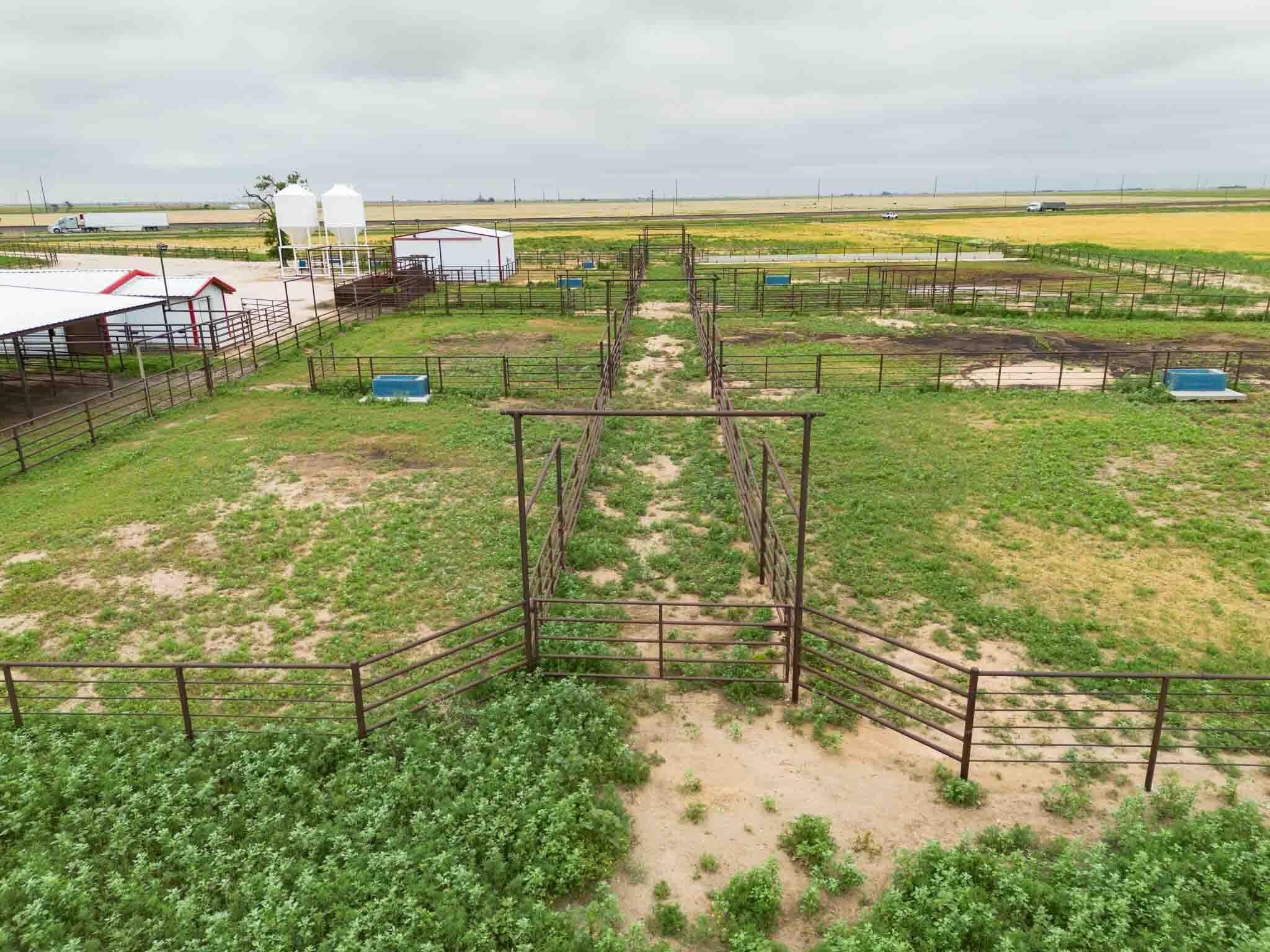 1,326.18 acres in Parmer County gallery image 4