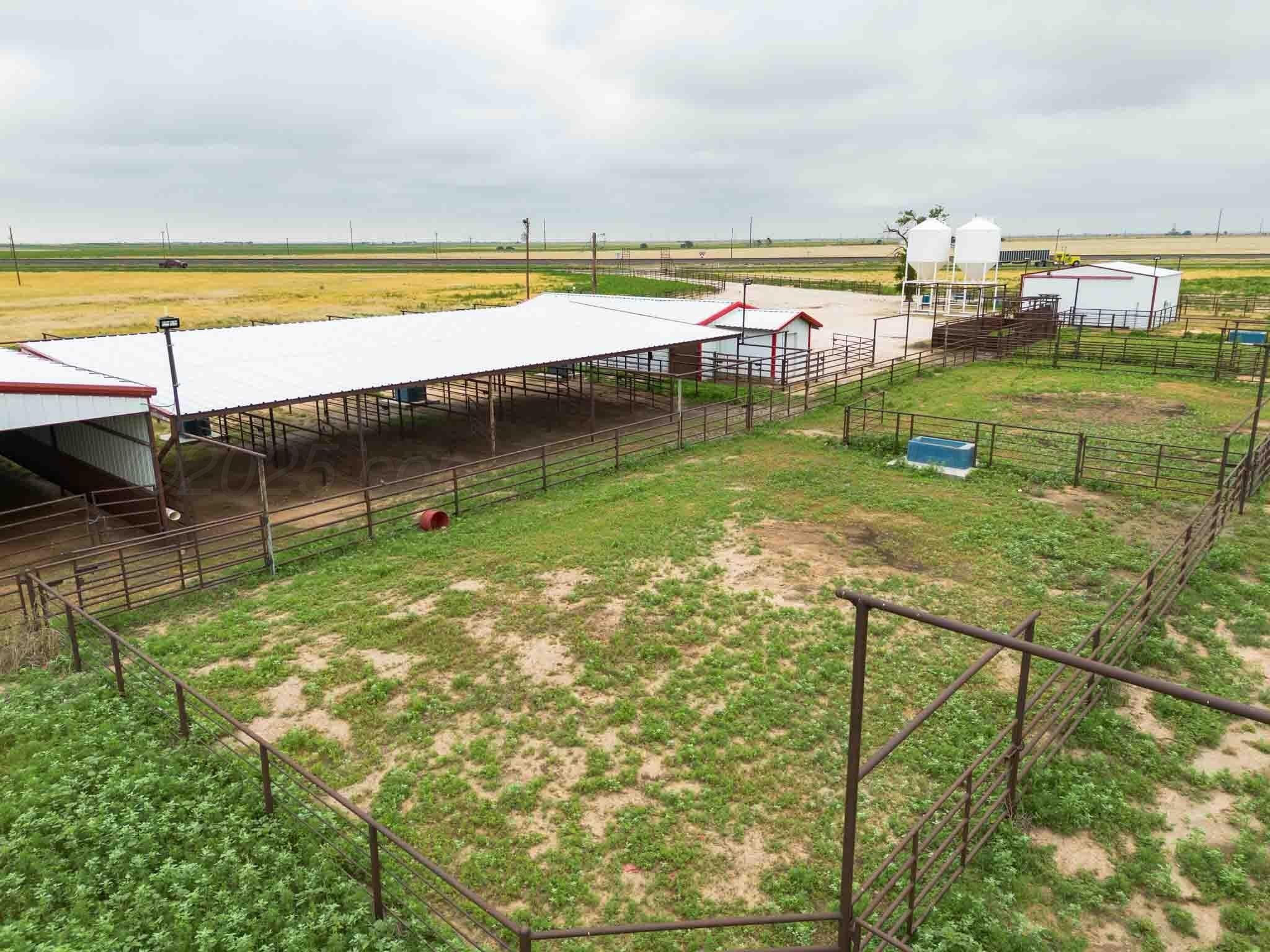 1,326.18 acres in Parmer County gallery image 3