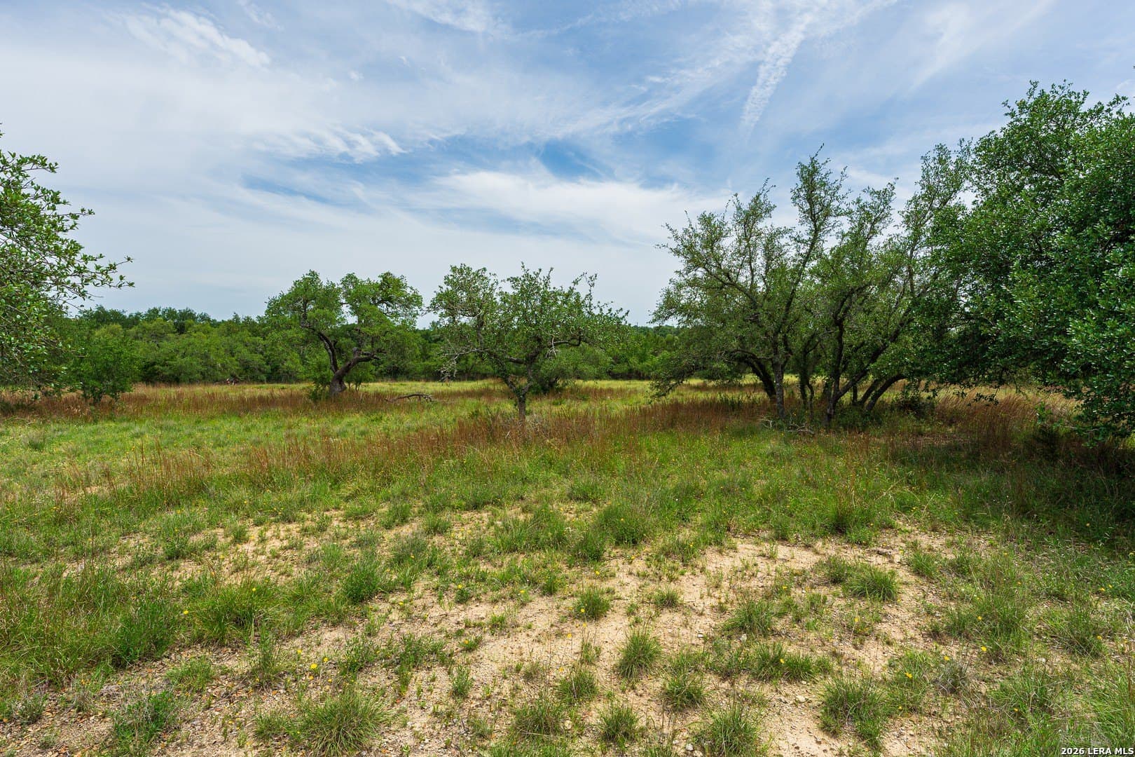 1.02 acres in Blanco County - photo 18