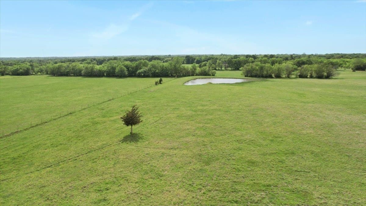 19.98 acres in Grayson County - photo 6