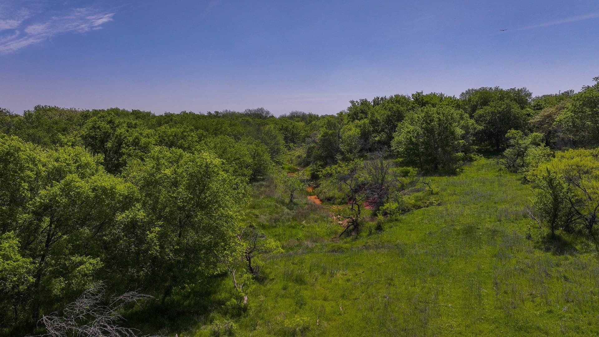 20 acres in Montague County - photo 23