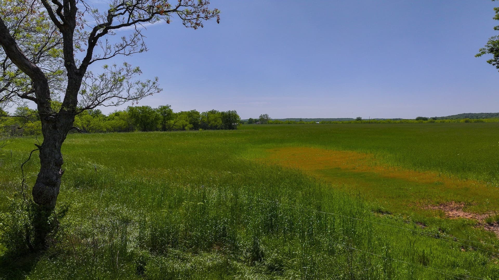 20 acres in Montague County - photo 14