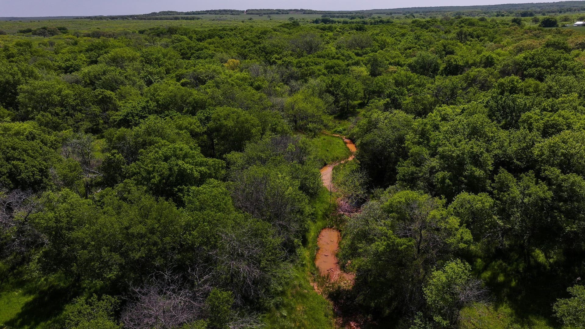 20 acres in Montague County - photo 8
