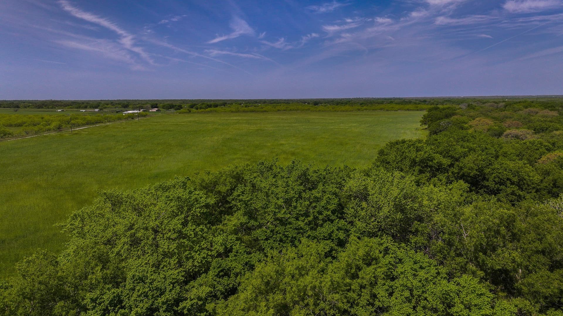 20 acres in Montague County - photo 6