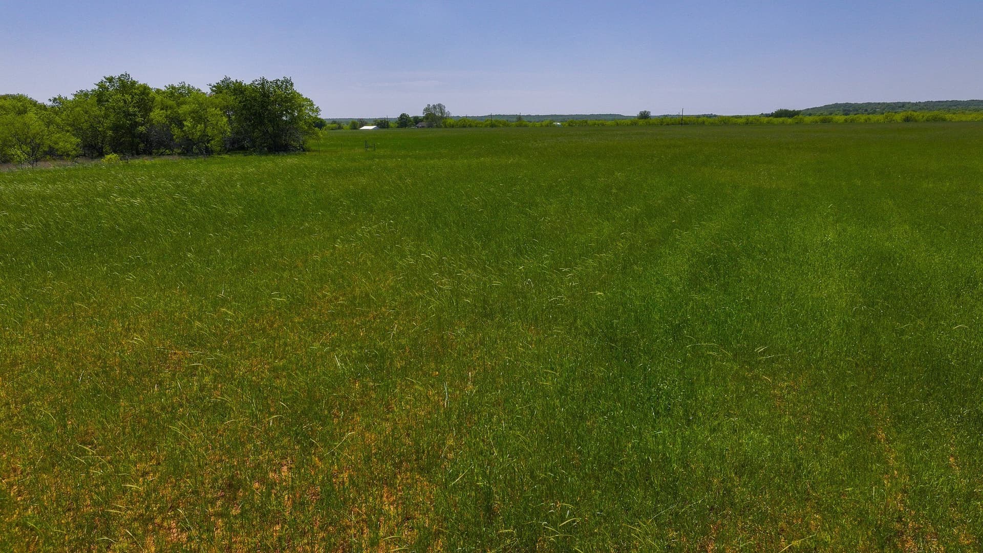 20 acres in Montague County - photo 16