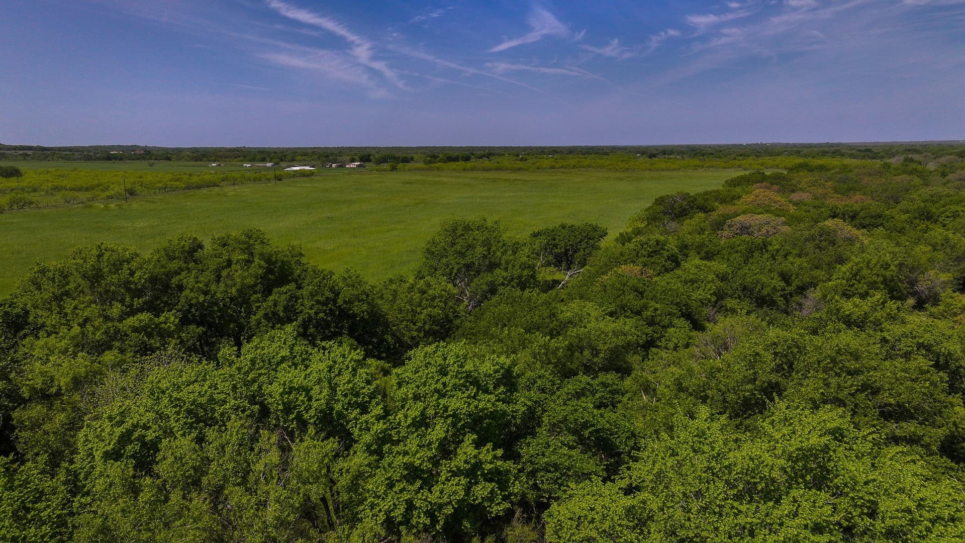 20 acres in Montague County - photo 20
