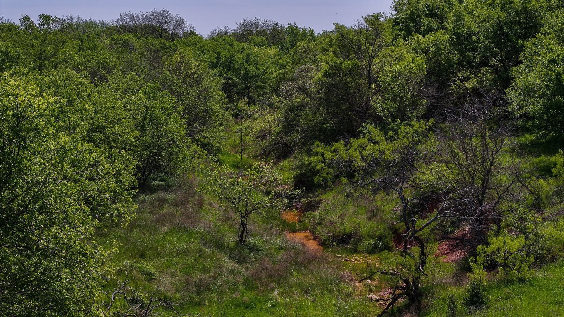 20 acres in Montague County - photo 24