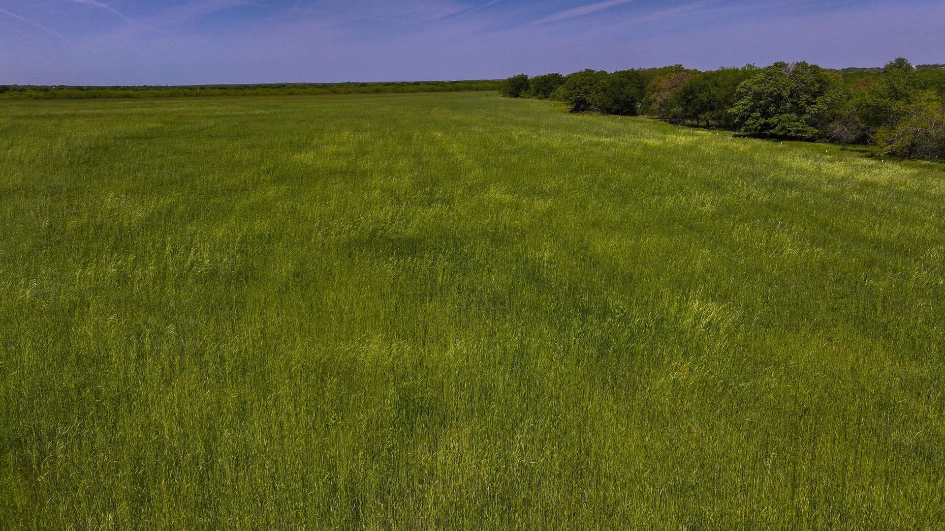 20 acres in Montague County - photo 21