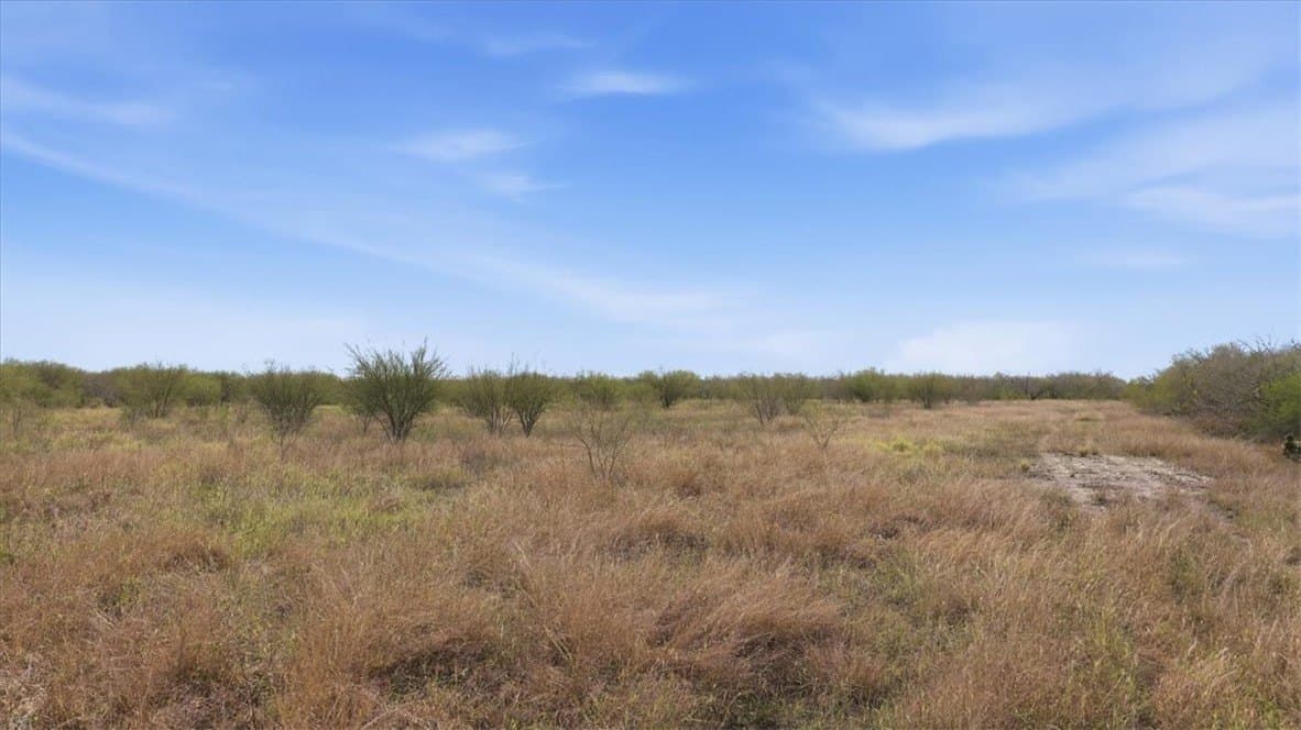 236.33 acres in Jim Wells County - photo 9