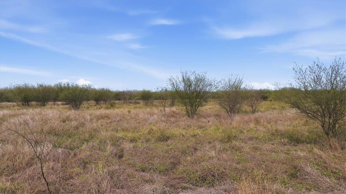 236.33 acres in Jim Wells County gallery image 3
