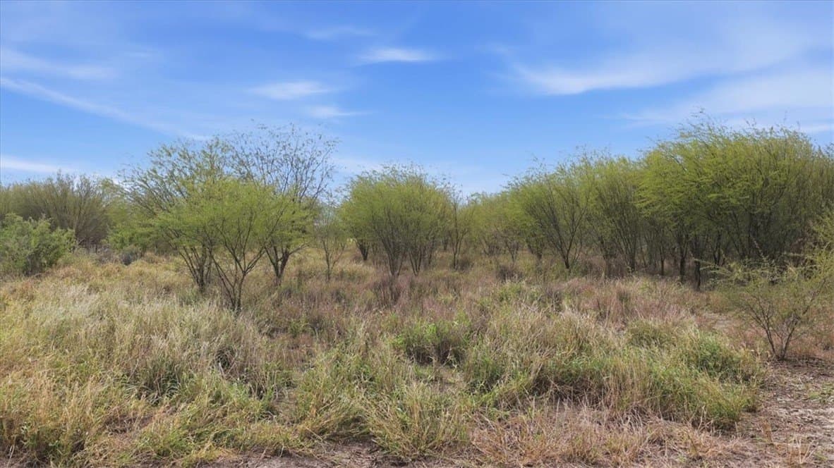236.33 acres in Jim Wells County - photo 12