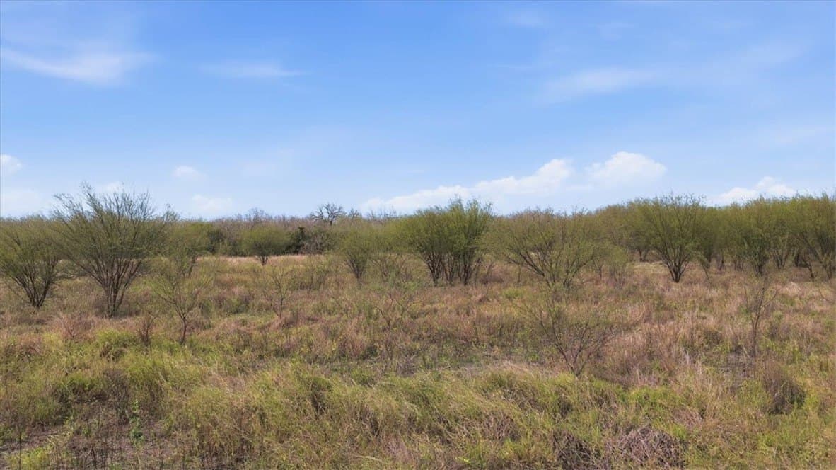 236.33 acres in Jim Wells County featured view