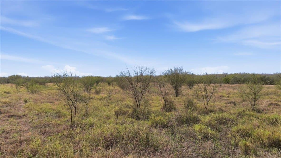 236.33 acres in Jim Wells County - photo 6