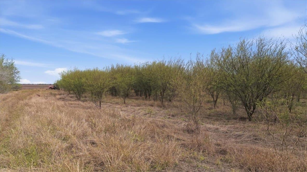 236.33 acres in Jim Wells County - photo 7