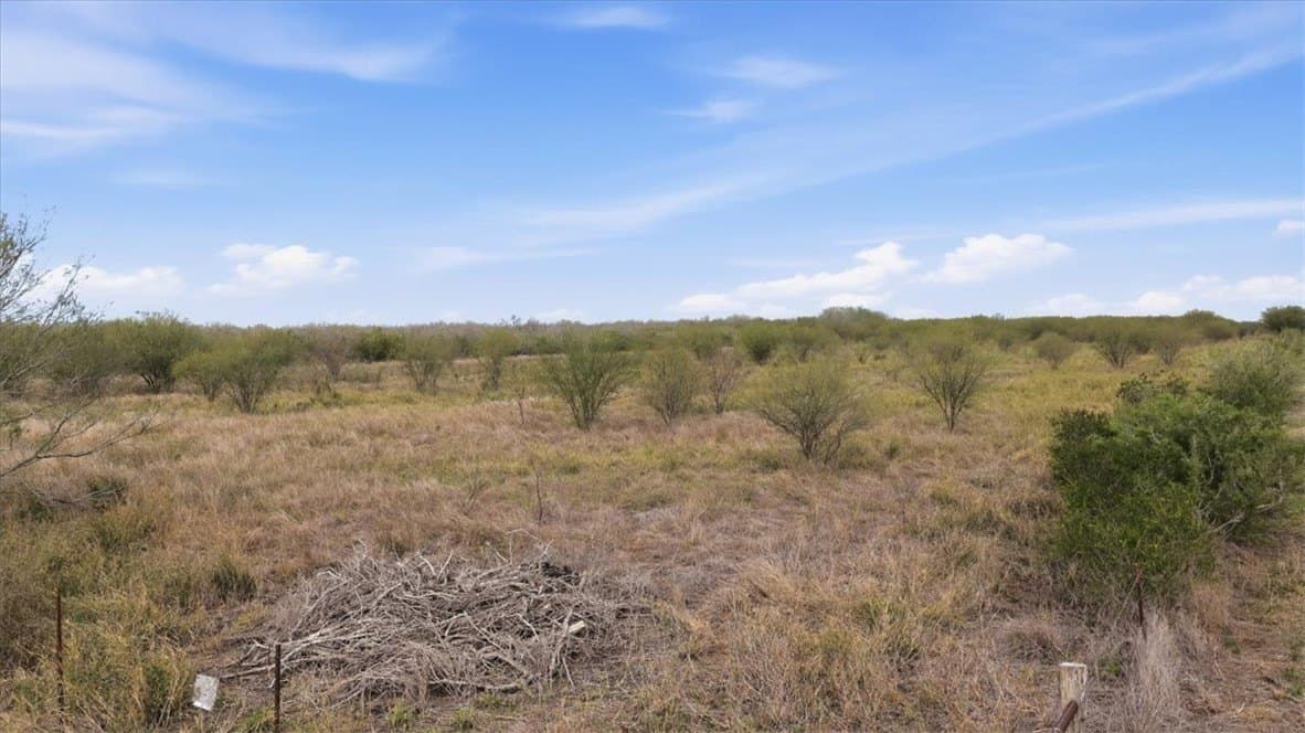 236.33 acres in Jim Wells County gallery image 2