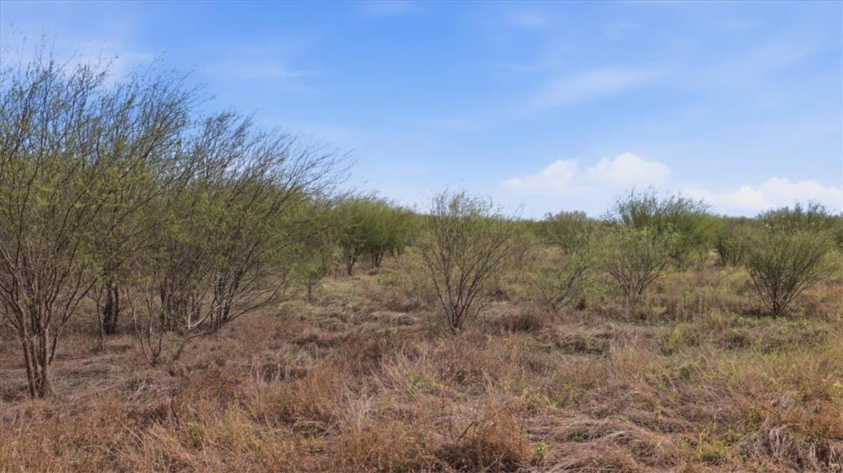 236.33 acres in Jim Wells County - photo 8