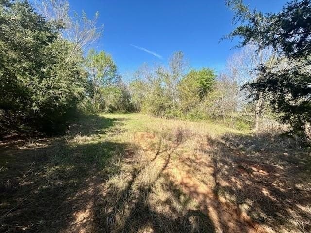 9.05 acres in Leon County - photo 12