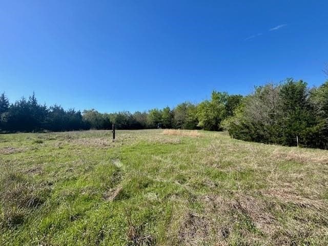 9.05 acres in Leon County - photo 10